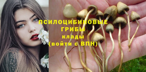 прущая мука Богородицк